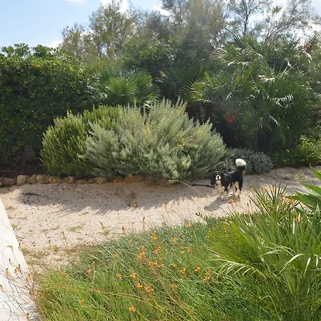 Il Rifugio Dello Scoglio ヴィラ