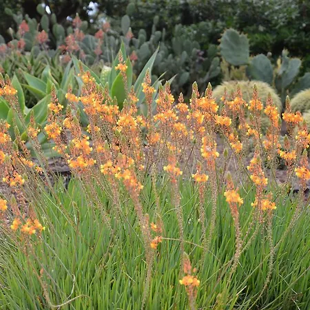 Il Rifugio Dello Scoglio *