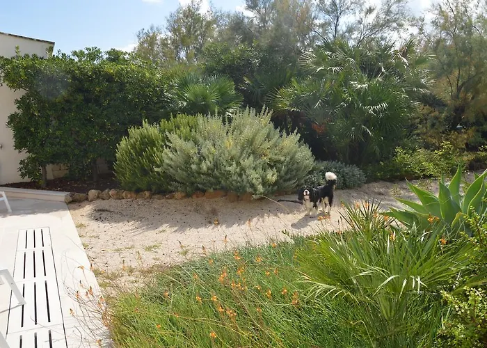 Il Rifugio Dello Scoglio Villa