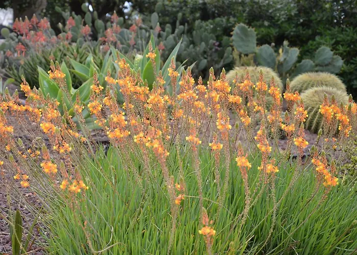 Il Rifugio Dello Scoglio *